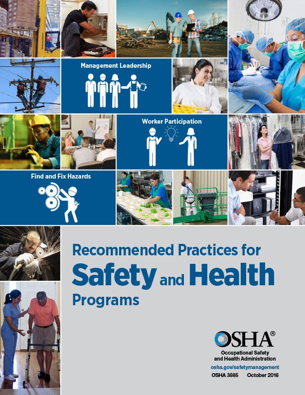 Screenshot of Recommended Practices for Safety and Health publication