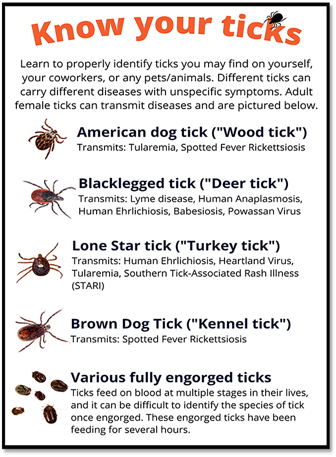 Know Your Ticks