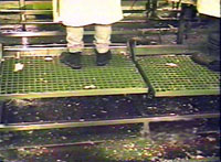 Height-Adjustable Stands