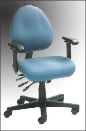 Figure 1. Adjustable chair and backrest