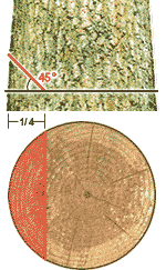 Diagram of Cross-section