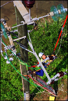 Live Line/Bare Hand Work (LLBHW)