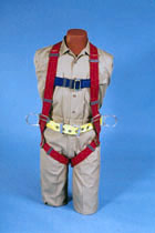 Manikin wearing a body harness