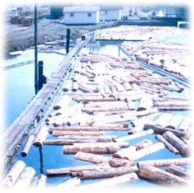 Log handling, sorting, and storage