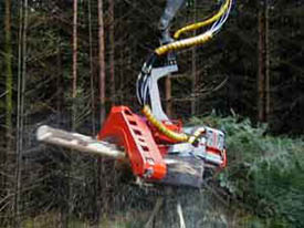 Log processing through "head."