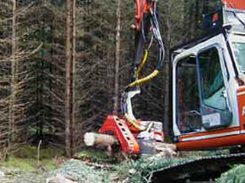 Log positioned in "head."