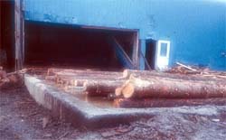 Hot pond in small sawmill where logs are dumped for conveyance into mill