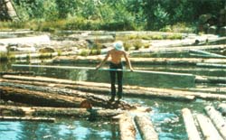 Boom pond worker without personal flotation device.