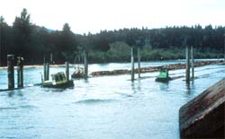 Pond boats in action