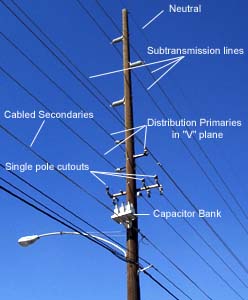 Figure 6. Distribution primaries and secondaries on subtransmission pole