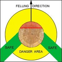Diagram of Safe/Danger Areas From Felling Direction