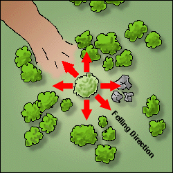 Text box for answers to interactive diagram.