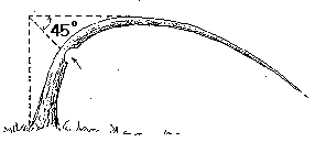 Spring pole that comes down at a 45 degree angle.