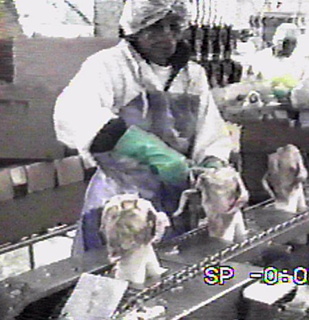 Image of worker cutting bird wings