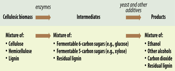 Figure II.24. Chemical Process During Biochemical Conversion of Cellulosic Feedstocks