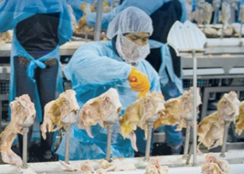 Necesitamos su ayuda