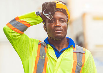 Consulte estos recursos