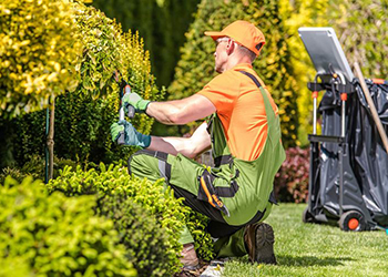 Safety Emphasis Program