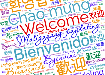 Why Language Matters